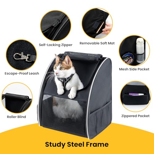 Conlun Cat Backpack Carrier for Small Dogs and Cats Fit Up to 15 Lbs,Small Dog Backpack, Foldable with 3-Side Mesh Windows, Pet Carrier for Travel & Hiking Friendly，Black - color: Black
