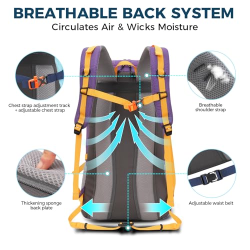Bseash 45L Waterproof Hiking Camping Backpack with Rain Cover, Outdoor Sport Travel Bag Daypack for Climbing Skiing Cycling (Purple) - color: Purple