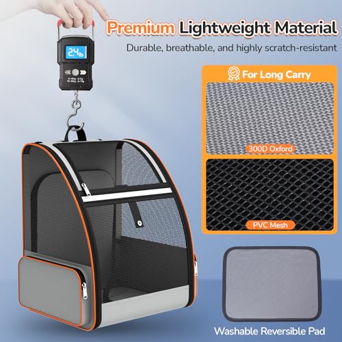 Cat Backpack Carrier Expandable for Outdoor - Foldable Cat Backpack with Breathable Mesh for Small Dog Puppy Kitten Up to 15 lbs - Soft Sided Pet Carrier for Travel Hiking Camping (Gray)