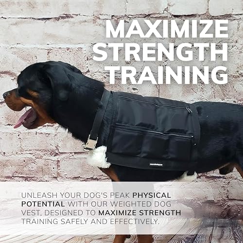 ActiveDogs Weighted Dog Vest with Weights - Dog Agility Training Equipment Jacket for Dog Exercise, Strength, Pulling & Endurance - Burn Calories & Build Muscle - Large 34-38 IN, 10 x 1LB - size: Large