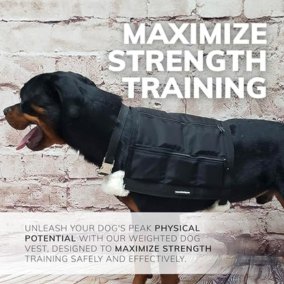ActiveDogs Weighted Dog Vest with Weights - Dog Agility Training Equipment Jacket for Dog Exercise, Strength, Pulling & Endurance - Burn Calories & Build Muscle - Large 34-38 IN, 10 x 1LB - size: Large