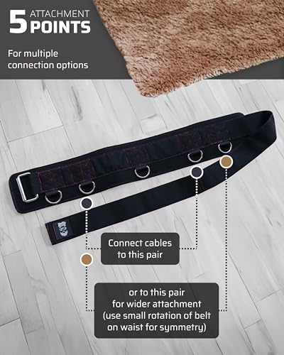 THEFITGUY Multi-Attachment Belt for Cable Machine and Smart Home Gym Squats and Hip Thrusts, 5 Attachment Points for Optimal Weight Distribution, 2 Straps (40” & 27”) and 3 Metal Snap Hooks Included