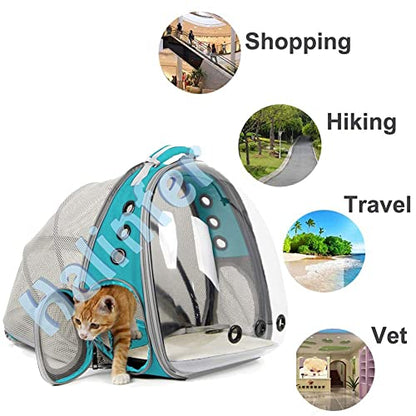 Back Extension Cat Travel Carrier Backpack (Green, Clear Window) - color: Green