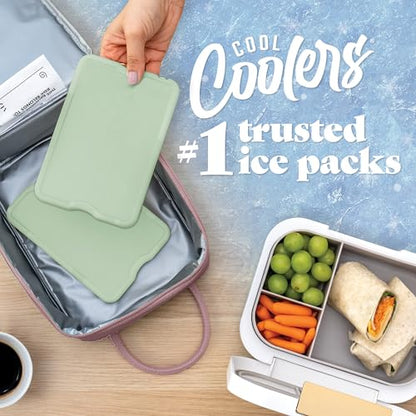 Cool Coolers by Fit & Fresh 4 Pack XL Slim Ice Packs, Quick Freeze Space Saving Reusable Ice Packs for Lunch Boxes or Coolers - color: Sage (4 Pack)