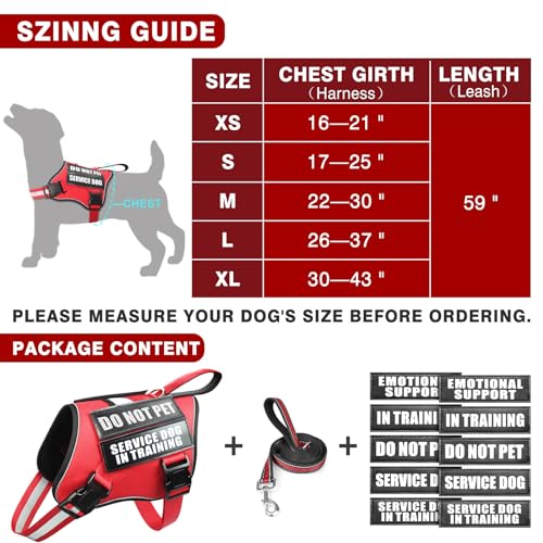 Service Dog Vest Harness and Leash Set+10 Patches,No Pull&Adjustable Reflective Dog Harness with Soft Padded Handle for Training/Everyday,Fit Small/Medium/Large/Extra-Large Dogs (Red S) - color: Red, size: Small