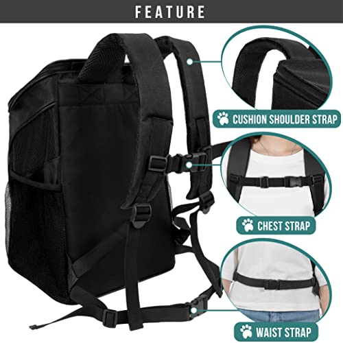 PetAmi Cat Backpack Carrier, Airline Approved Pet Carrier Backpack for Small Dogs and Large Cats, Soft Sided Collapsible Ventilated with Sherpa Bed for Hiking Travel, Max 18 lbs, Black - color: Black