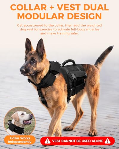 Weighted Dog Vest and Collar Set with 4 Removable 0.88 lb Weight Blocks, No Sand Filling, Training Gear for Medium and Large Dogs, Walking, Conditioning, Muscle Building-L