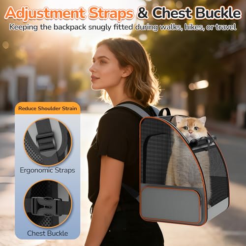 Cat Backpack Carrier Expandable for Outdoor - Foldable Cat Backpack with Breathable Mesh for Small Dog Puppy Kitten Up to 15 lbs - Soft Sided Pet Carrier for Travel Hiking Camping (Gray)