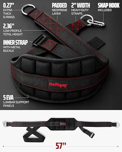 THEFITGUY Ultimate Belt for Belt Squats, Rack Attachment and Squat Machine, Structured Back Support, Stays Low During Down Movement, Padded Hip & Thigh Area, Buckle Strap - No Sliding Down, Heavy Duty