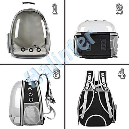 Back Extension Cat Travel Carrier Backpack (Black, Clear Window) - color: Black