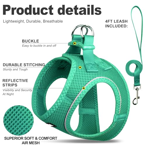 Fida Cat Harness and Leash Set for Walking Kitten and Puppy, Escape Proof Kitten Harness with Breathable Lightweight Soft Mesh, Adjustable Reflective Step-in Design. (XXXS, Green) - color: Turquoise, size: XXXS (Neck:10.2"-11.4"; Girth:11.4"-12.6")