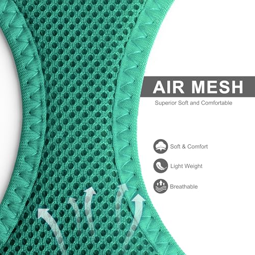 Fida Cat Harness and Leash Set for Walking Kitten and Puppy, Escape Proof Kitten Harness with Breathable Lightweight Soft Mesh, Adjustable Reflective Step-in Design. (XS, Green) - color: Turquoise, size: XS (Neck:12.2"-13"; Girth:14.2"-16.1")