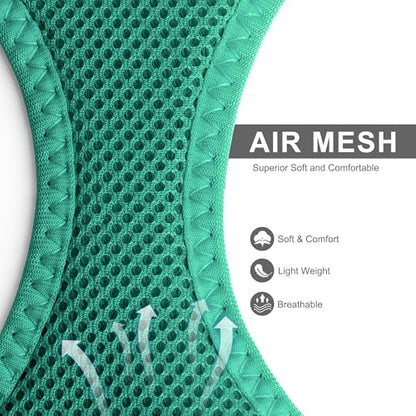 Fida Cat Harness and Leash Set for Walking Kitten and Puppy, Escape Proof Kitten Harness with Breathable Lightweight Soft Mesh, Adjustable Reflective Step-in Design. (XS, Green) - color: Turquoise, size: XS (Neck:12.2"-13"; Girth:14.2"-16.1")