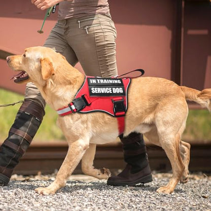 Service Dog Vest Harness and Leash Set+10 Patches,No Pull&Adjustable Reflective Dog Harness with Soft Padded Handle for Training/Everyday,Fit Small/Medium/Large/Extra-Large Dogs(Red L) - color: Red, size: Large