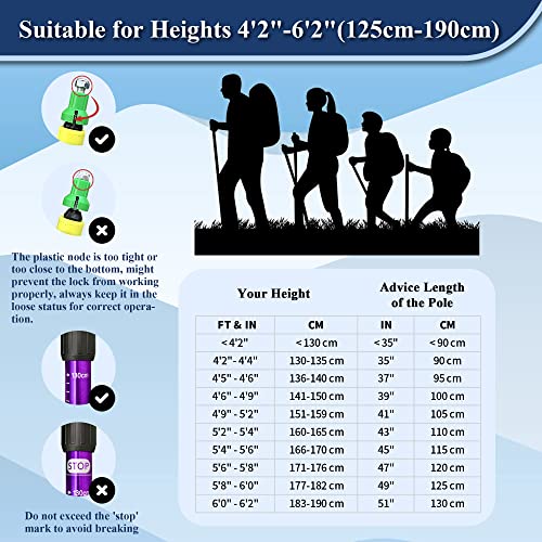 TheFitLife Nordic Walking Trekking Poles - 2 Sticks with Anti-Shock and Quick Lock System, Telescopic, Collapsible, Ultralight for Hiking, Camping, Mountaining, Backpacking, Walking, Trekking - color: Purple