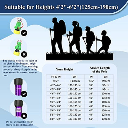 TheFitLife Nordic Walking Trekking Poles - 2 Sticks with Anti-Shock and Quick Lock System, Telescopic, Collapsible, Ultralight for Hiking, Camping, Mountaining, Backpacking, Walking, Trekking - color: Purple