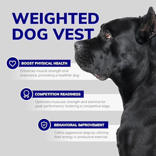 ActiveDogs Weighted Dog Vest with Weights - Dog Agility Training Equipment Jacket for Dog Exercise, Strength, Pulling & Endurance - Burn Calories & Build Muscle - Small 22-27 IN, 8 x 1/2LB - size: Small