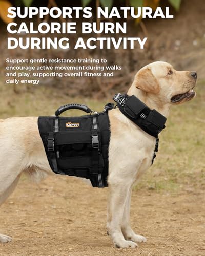 Weighted Dog Vest and Collar Set with 4 Removable 0.88 lb Weight Blocks, No Sand Filling, Training Gear for Medium and Large Dogs, Walking, Conditioning, Muscle Building-L