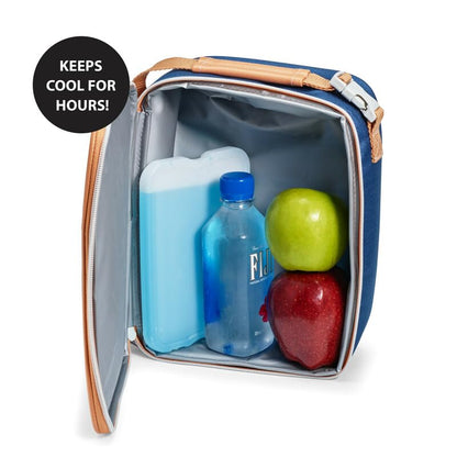 Cool Coolers by Fit & Fresh 4 Pack XL Slim Ice Packs, Quick Freeze Space Saving Reusable Ice Packs for Lunch Boxes or Coolers - color: Blue (8 Pack)