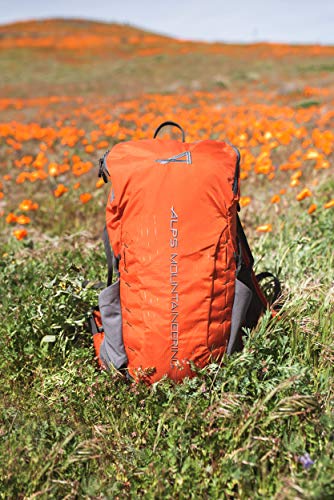 ALPS Mountaineering Canyon 20L Backpack - Chili/Gray