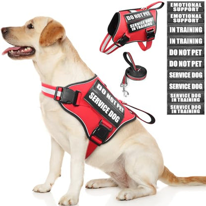Service Dog Vest Harness and Leash Set+10 Patches,No Pull&Adjustable Reflective Dog Harness with Soft Padded Handle for Training/Everyday,Fit Small/Medium/Large/Extra-Large Dogs(Red L) - color: Red, size: Large