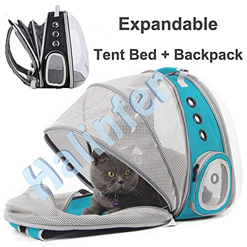 Back Extension Cat Travel Carrier Backpack (Green, Clear Window) - color: Green