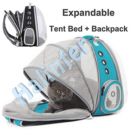 Back Extension Cat Travel Carrier Backpack (Green, Clear Window) - color: Green