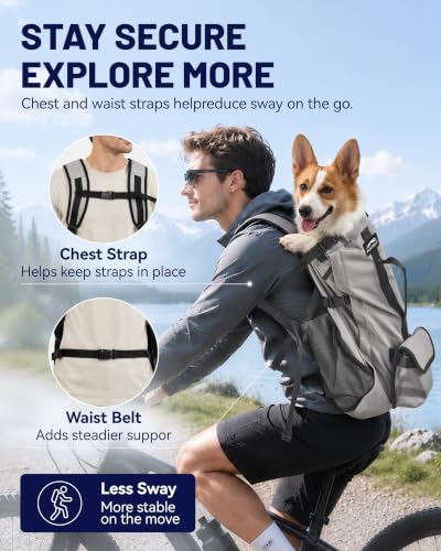 Dog Backpack for Small & Medium Dogs – 4-Layer Safety Pet Carrier with Thick Shoulder Straps, Detachable Waist Bag, Breathable Mesh & Storage Pockets for Travel & Hiking
