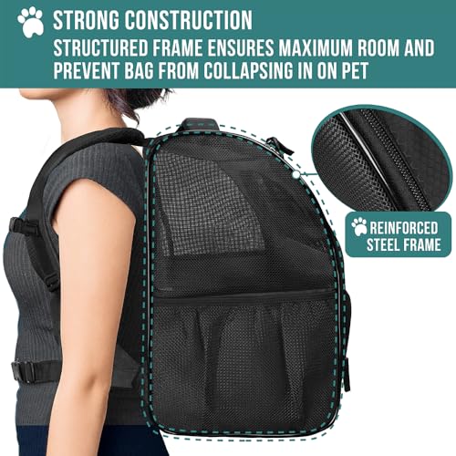 PetAmi Dog Backpack Carrier for Small Medium Dogs Large Cats up to 18 lbs, 2 Side Entry, Structured No-Collapse Frame, Airline Approved Ventilated Pet Backpack for Hiking Camping Travel Vet, Black - color: Black