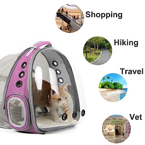 Back Extension Cat Travel Carrier Backpack (Pink, Clear Window) - color: Pink