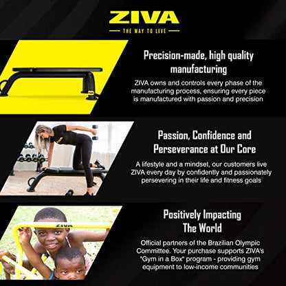 ZIVA Performance Flat Weight Utility Bench for Strength Training, Abdominal Workout – 600 lbs Capacity, 89mm Steel Tubing, High Density PU Foam Padding, Compact Design (Dim. 41x85x146 cm., 19kg)