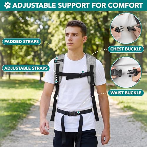 PetAmi Expandable Dog Backpack Carrier for Cats & Pets, Breathable Cat Carrier Backpack with Top Window & Multi-Entry, Ventilated Foldable Travel Carrier for Small Medium Pets up to 18 lbs, Light Gray - color: Gray