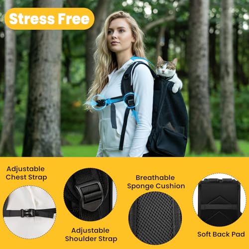 Conlun Cat Backpack Carrier for Small Dogs and Cats Fit Up to 15 Lbs,Small Dog Backpack, Foldable with 3-Side Mesh Windows, Pet Carrier for Travel & Hiking Friendly，Black - color: Black