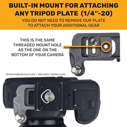 SPIDER HOLSTER – Clip-on Camera Holster and Camera Plate with Durable Stainless Steel Pin – Compatible with Any Belt - color: Spider X Holster + Plate