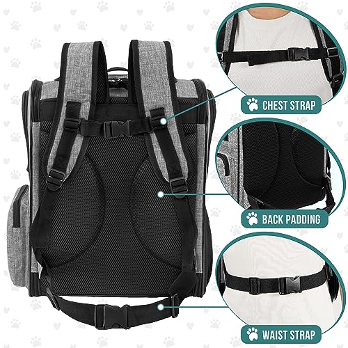 PetAmi Dog Backpack Carrier for Cats and Small Dogs, 4-Way Entry Ventilated Pet Carrier for Hiking Travel, Foldable Top with Sherpa Bed, Reflective and Poop Bag Dispenser, Up to 18 lbs, Heather Grey - color: Heather Grey