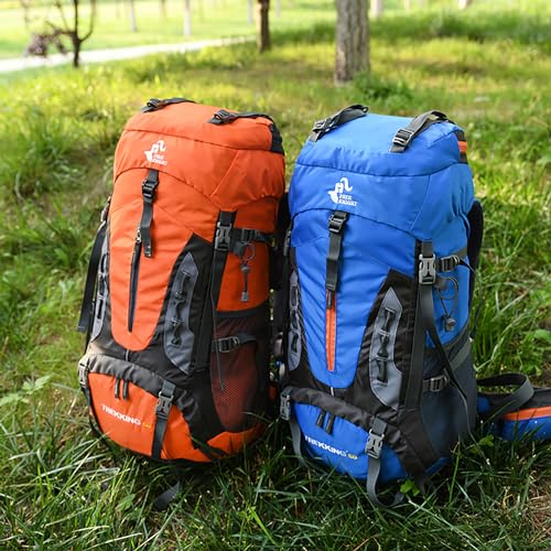 Bseash 60L Hiking Camping Backpack with Rain Cover, Waterproof Large Capacity Outdoor Sport Travel Daypack Climbing Touring (Gray) - color: Gray
