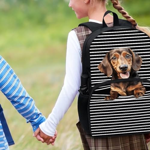 Talayituse Dachshund Stripe Print Bookbag Backpack for Kids Boys Girls Large Capacity Casual School Bags with Bottle Holder Pocket and Adjustable Strap 17 Inch Travel Daypack Back To School Bookbag - color: Dachshund Stripe