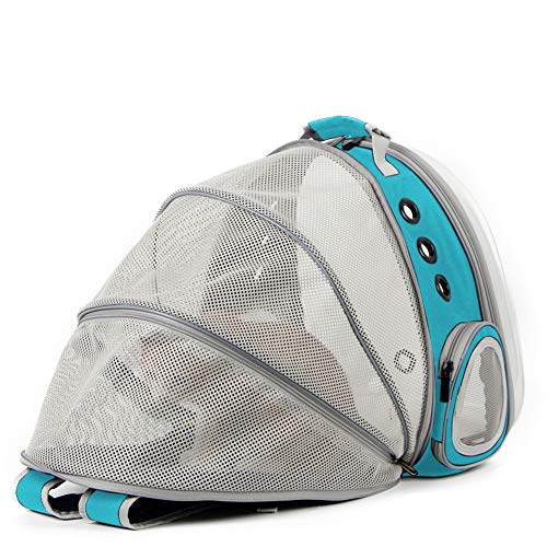 Back Extension Cat Travel Carrier Backpack (Green, Clear Window) - color: Green