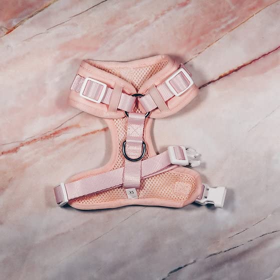 Premium No-Pull Dog Harness Soft Neoprene & Breathable Mesh Vest with Front & Back Clip D-Rings Adjustable Lightweight Walking Harness for Puppies, Small & Medium Dogs (Baby Pink, M) - color: Baby Pink, size: M: Neck=15.4-20.1''/Chest=18.1-24.4''