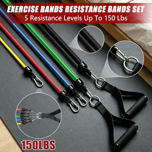 Resistance Bands with Handles, 5-Level Exercise Bands with Handles, Resistance Bands for Men and Women, Exercise Bands for Full-Body Training, Fitness, Physical Therapy, Workout Bands at Home, Gym
