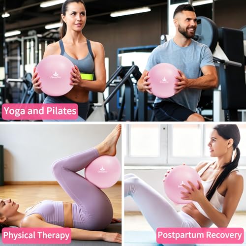 9 Inch Pink Pilates Ball, Exercise Stability Yoga Ball Small Exercise Ball with Air Pump for Core Workout, Balance Training, Home Gym, Office, Physical Therapy