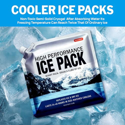 Reusable Ice Packs for Coolers Long Lasting Gel Freezer Packs for Lunch Bags Cooler Backpack Lunch Box for Camping & Picnics & Beach & Road Trips (9.8"x9.8"x5P) - size: Medium-5pk