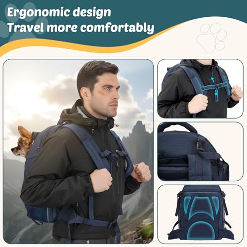 Dog Backpack Carrier for Hiking, Pet Travel Bag up to 18 lbs, 2-in-1 Foldable Cat Backpack with Laptop Compartment, Reinforced Ventilated 600D Nylon Rucksack for Walking Camping Commuting - color: Navy Blue
