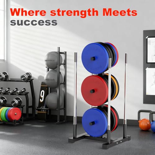 Weight Plate Rack for Home Gym, 6 Post Olympic Plate Holder with Wide Base | Stable design, Barbell Storage & Bumper Plate Tree, Heavy Duty Space Saving Gym Equipment