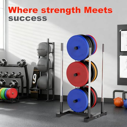 Weight Plate Rack for Home Gym, 6 Post Olympic Plate Holder with Wide Base | Stable design, Barbell Storage & Bumper Plate Tree, Heavy Duty Space Saving Gym Equipment
