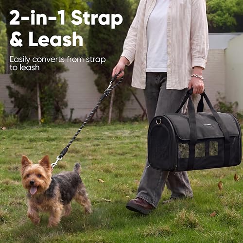 FUKUMARU Cat Carrier, Light & Airy Pet Carrier, 18x11x11 Airline Approved Dog Carrier for Small Dogs, 2-in-1 Shoulder Strap Leash, Collapsible Soft Cat Travel Carrier with Anti-Scratch Mesh, Black - color: Black