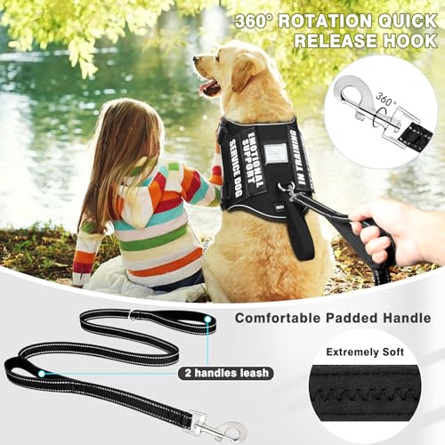 Service Dog Vest Harness and Leash Set+10 Patches,No Pull&Easy Walk Reflective Dog Harness with Soft Padded Handle for Training/Everyday,Fit Small/Medium/Large/Extra-Large Dogs (Black L) - color: Black, size: Large