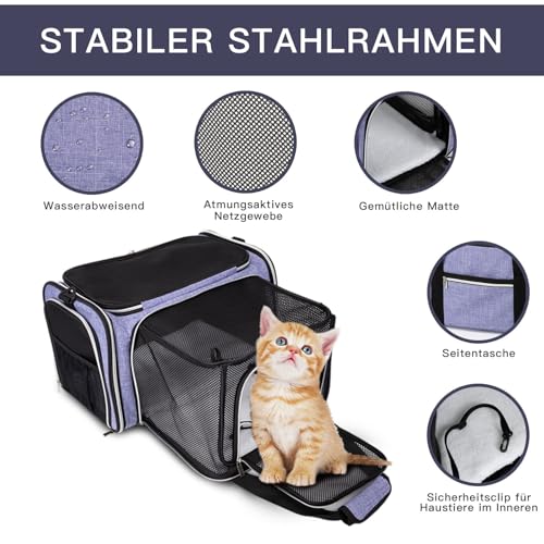 BAGLHER Cat Carrier Bag,Airline Approved Pet Carrier Soft Side Pet Travel 5 Sides Open Doors 3 Sides Expandable Foldable Dog Carrier with Fleece Pad - color: Purple, size: 17.5"L x 12.0"W x 11.5"H