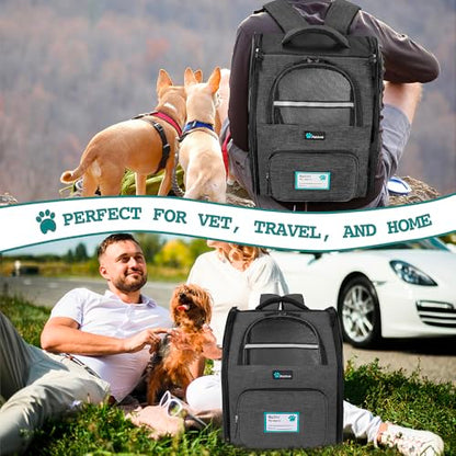 PetAmi Dog Backpack Carrier for Small Medium Dogs Large Cats up to 18 lbs, 2 Side Entry, Structured No-Collapse Frame, Airline Approved Ventilated Pet Backpack for Hiking Camping Travel, Charcoal - color: Charcoal
