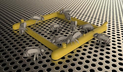Bee Gym/Slim Gym Combo (1)